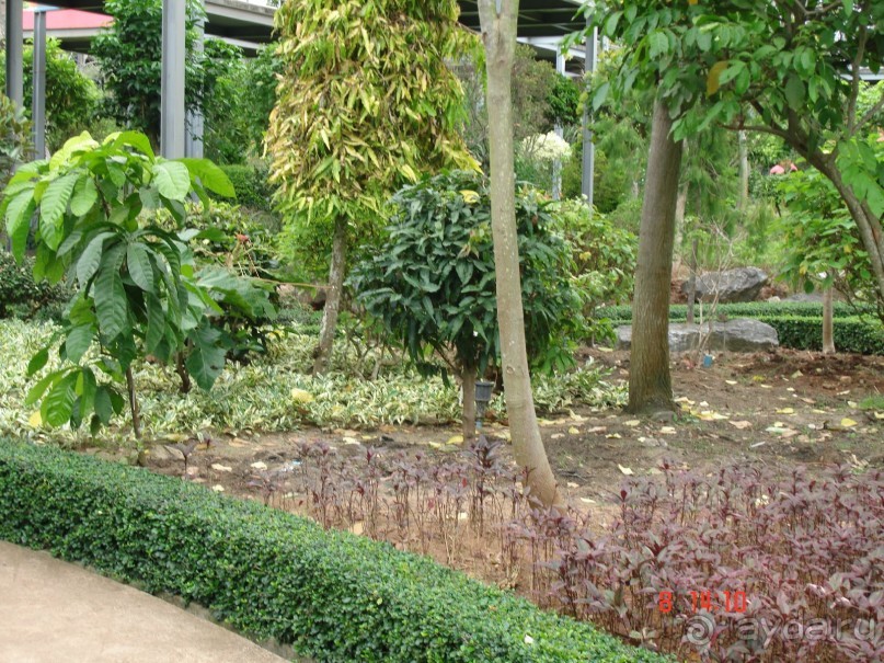 Поездка в Тай 7!!!