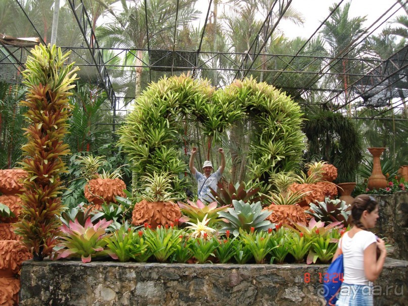 Поездка в Тай 7!!!