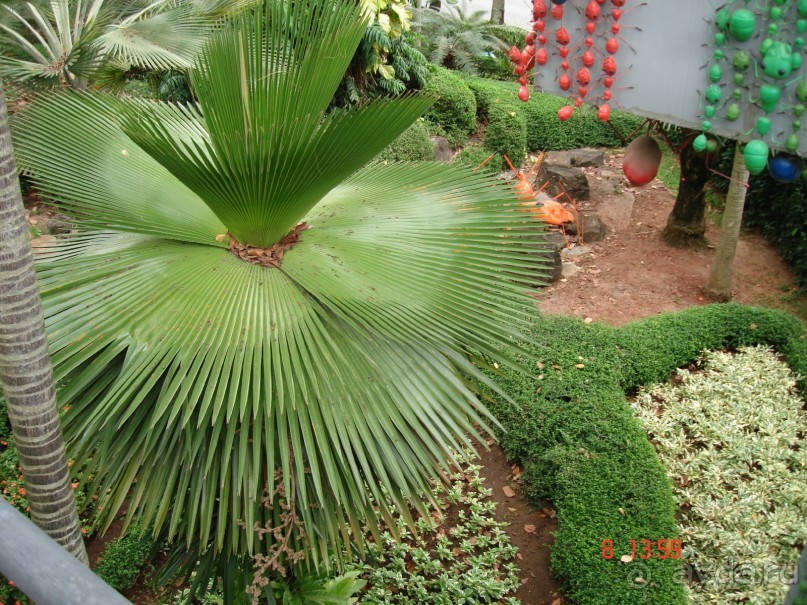 Поездка в Тай 7!!!