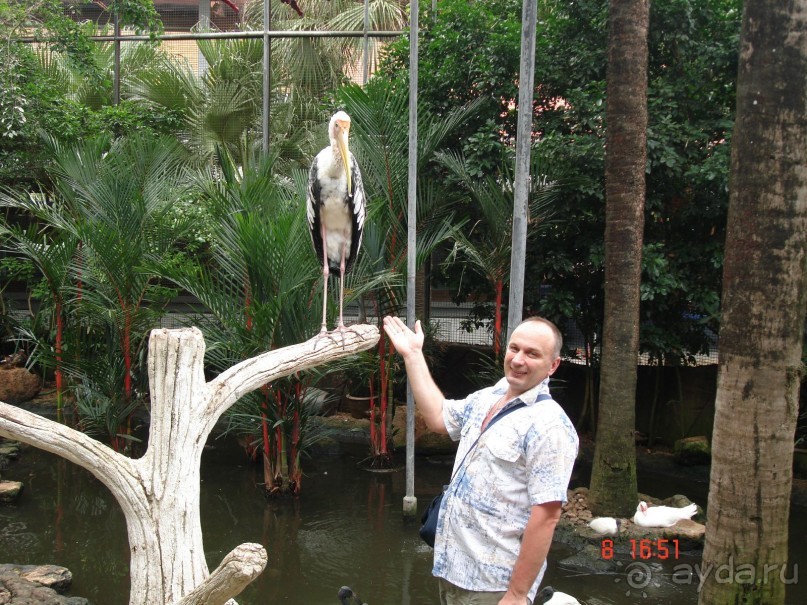 Поездка в Тай 7!!!