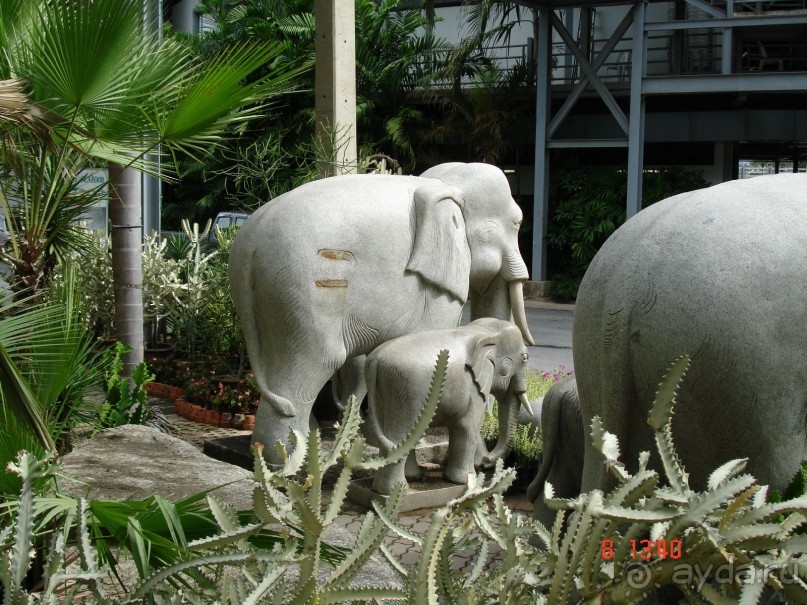 Поездка в Тай 7!!!