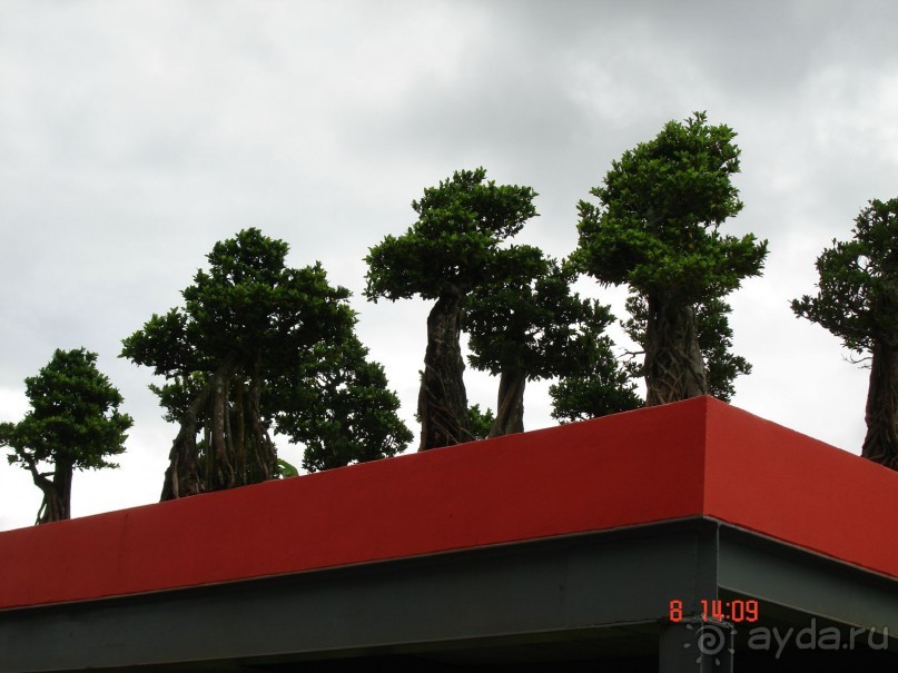 Поездка в Тай 7!!!