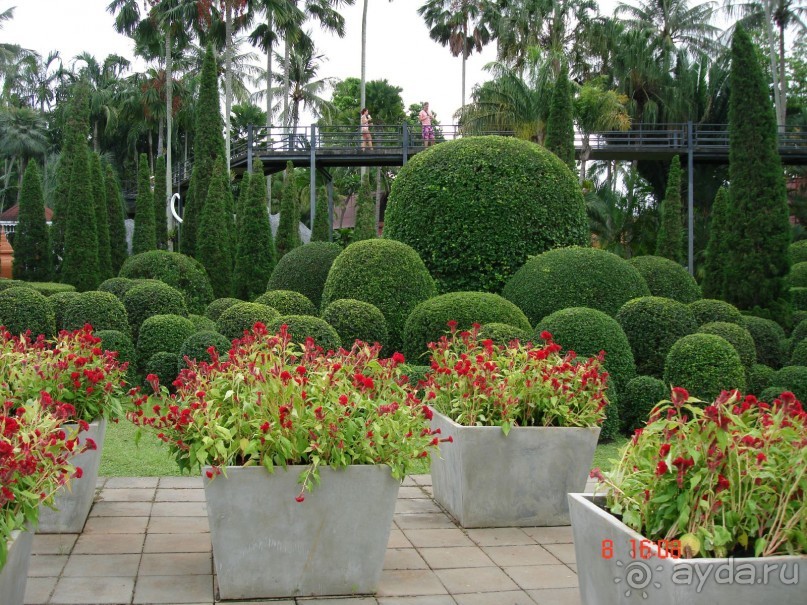 Поездка в Тай 7!!!