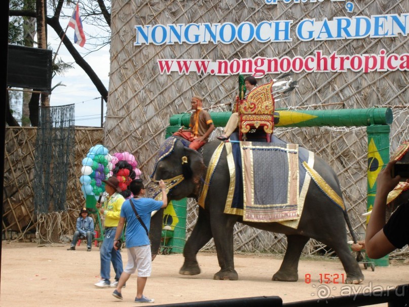 Альбом рассказа "Поездка в Тай 7!!!"