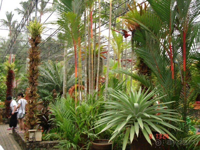 Поездка в Тай 7!!!