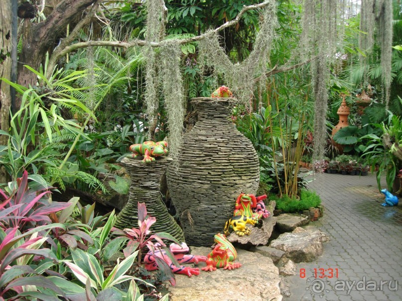 Альбом рассказа "Поездка в Тай 7!!!"