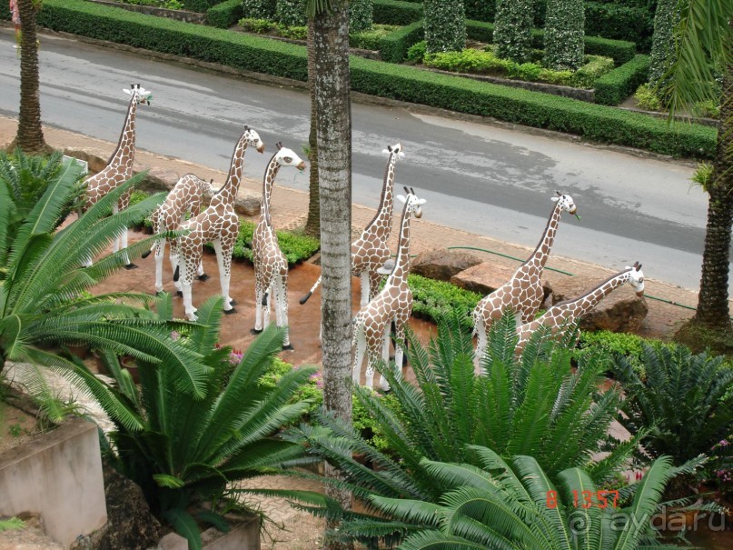 Поездка в Тай 7!!!