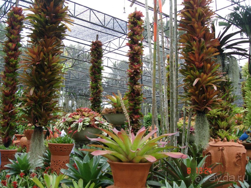 Альбом рассказа "Поездка в Тай 7!!!"