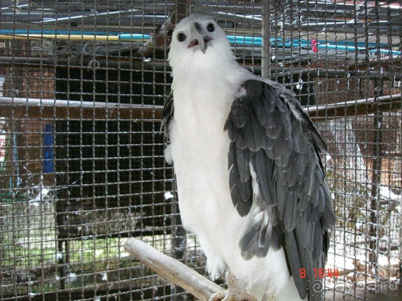 Поездка в Тай 7!!!