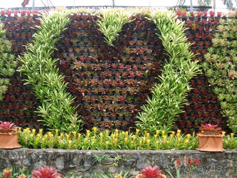 Поездка в Тай 7!!!