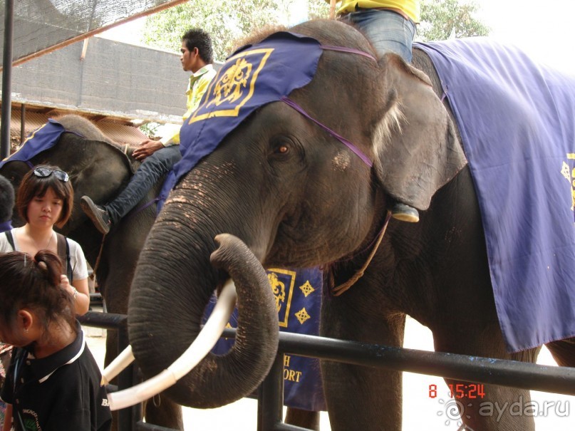 Поездка в Тай 7!!!