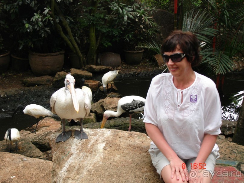 Поездка в Тай 7!!!