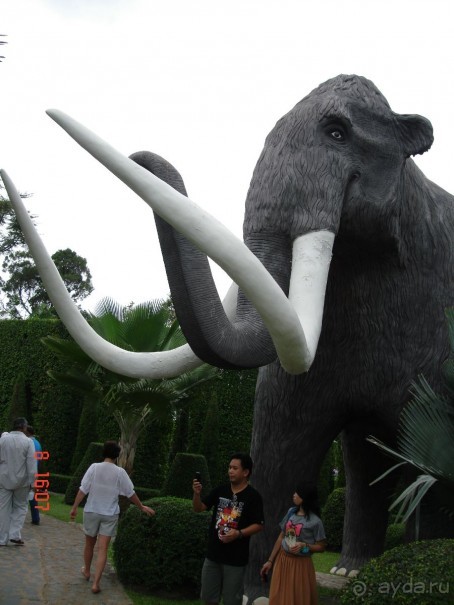 Поездка в Тай 7!!!