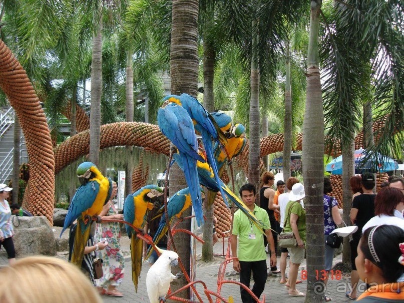 Поездка в Тай 7!!!