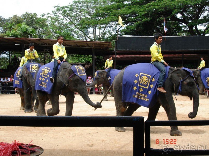 Поездка в Тай 7!!!