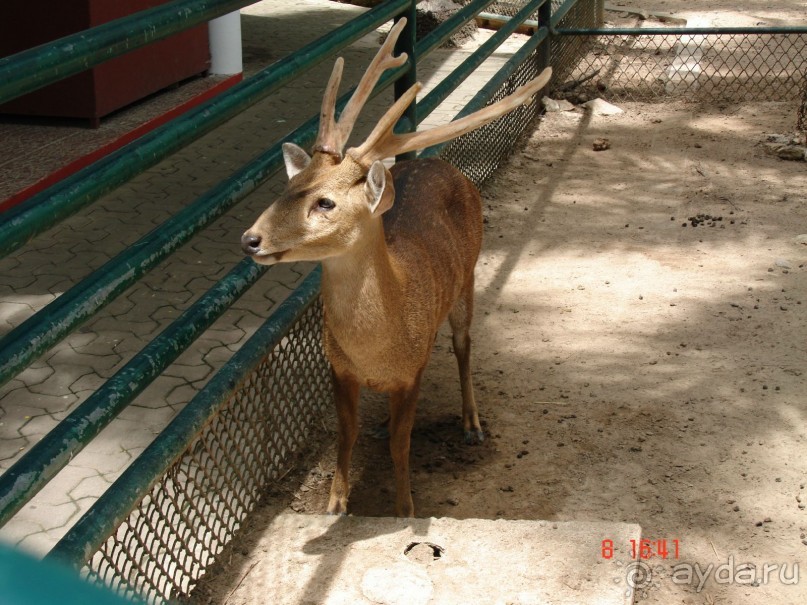 Поездка в Тай 7!!!