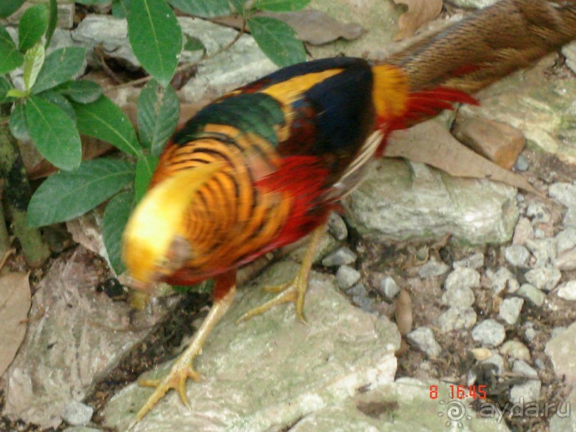 Поездка в Тай 7!!!