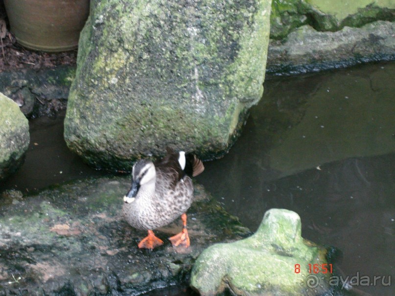 Поездка в Тай 7!!!