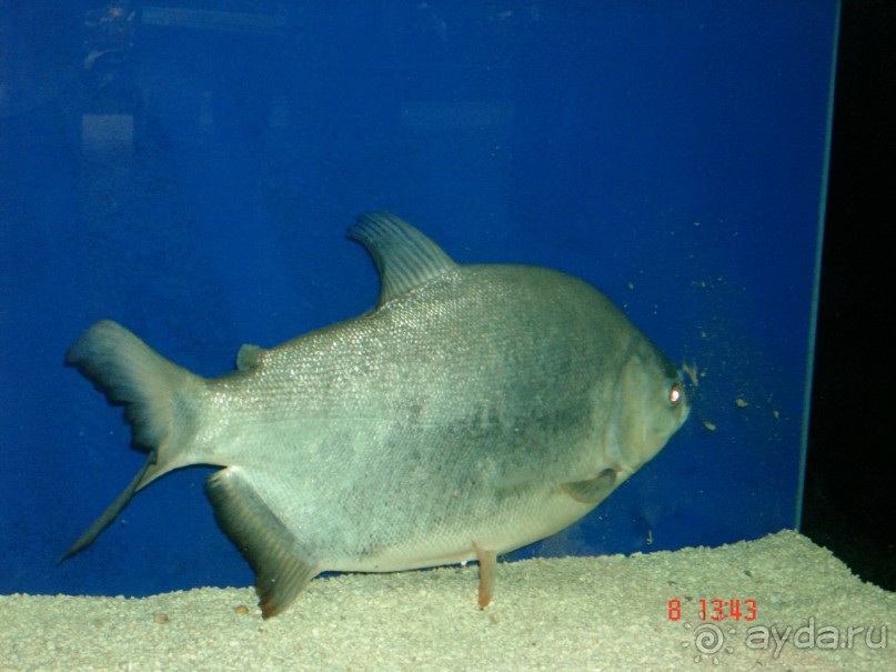 Поездка в Тай 7!!!