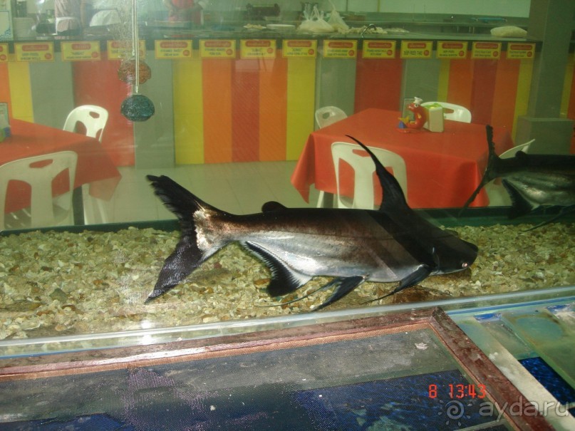 Поездка в Тай 7!!!