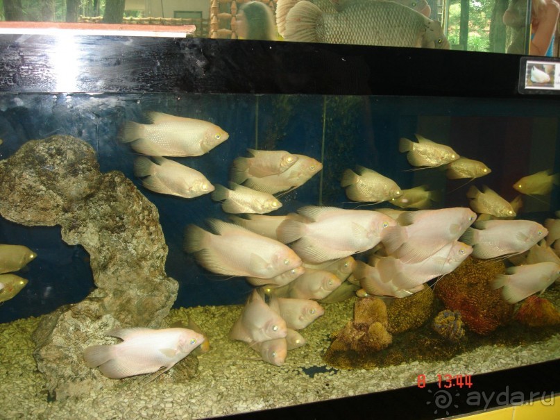 Альбом рассказа "Поездка в Тай 7!!!"