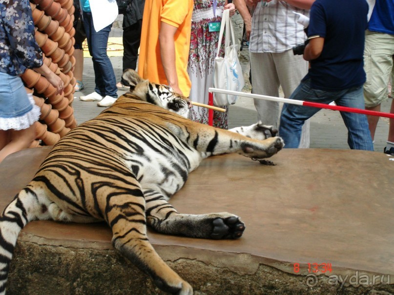 Поездка в Тай 7!!!