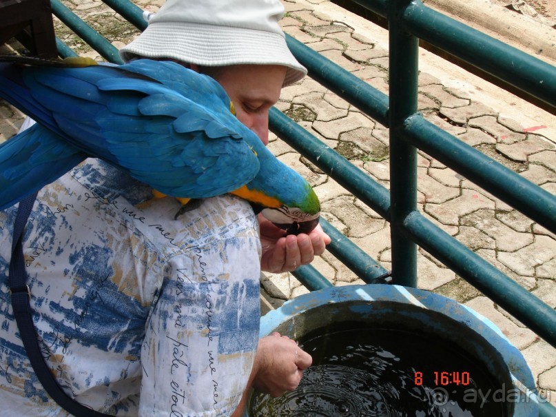 Поездка в Тай 7!!!