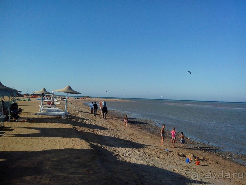 Альбом отзыва "Пляж в Эль Гуне - Mangroovy beach"