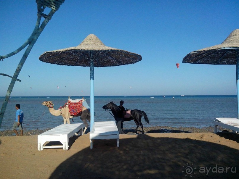 Пляж в Эль Гуне - Mangroovy beach