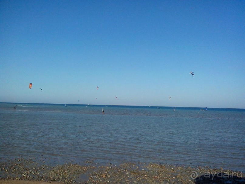 Пляж в Эль Гуне - Mangroovy beach