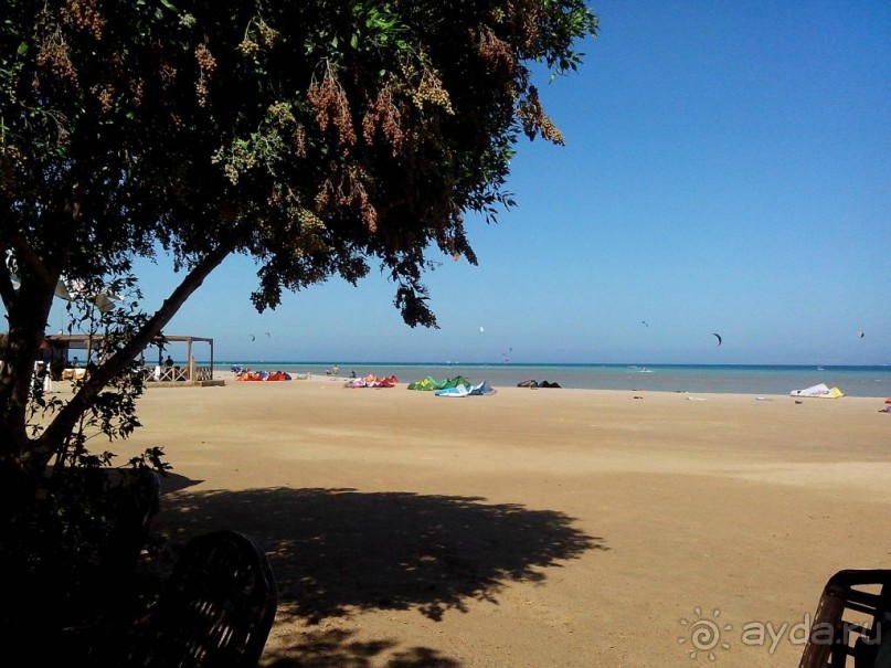 Пляж в Эль Гуне - Mangroovy beach