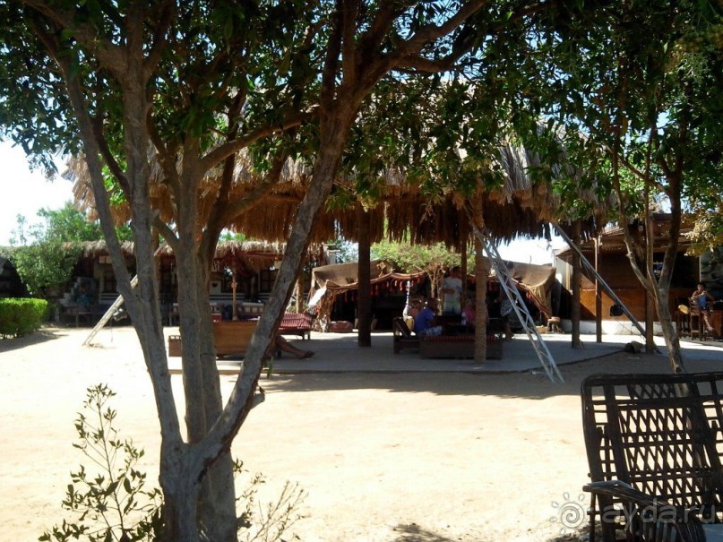 Пляж в Эль Гуне - Mangroovy beach