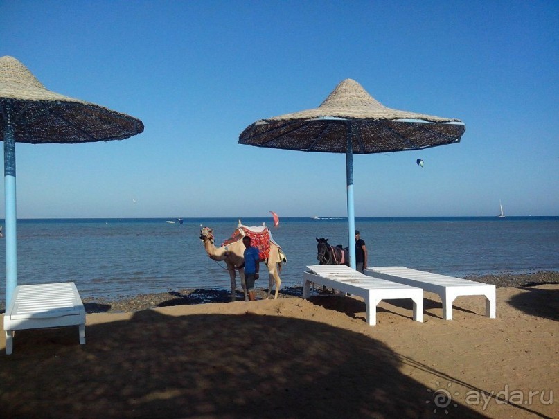 Пляж в Эль Гуне - Mangroovy beach