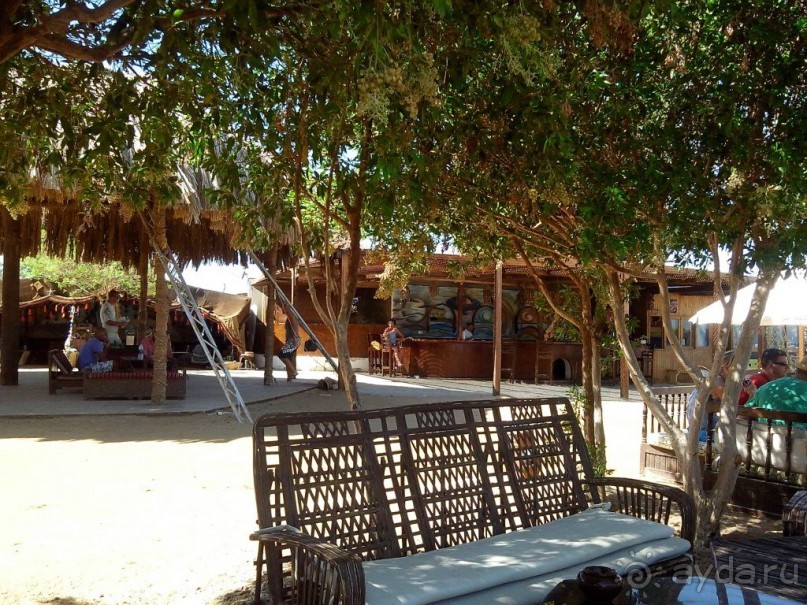 Пляж в Эль Гуне - Mangroovy beach