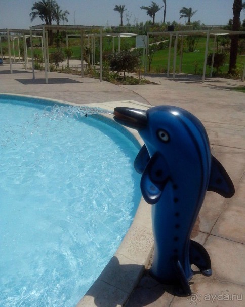 Поездка в аквапарк MAKADI WATER WORLD