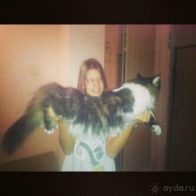 Альбом отзыва "Очередной переезд из Москвы в Хургаду"