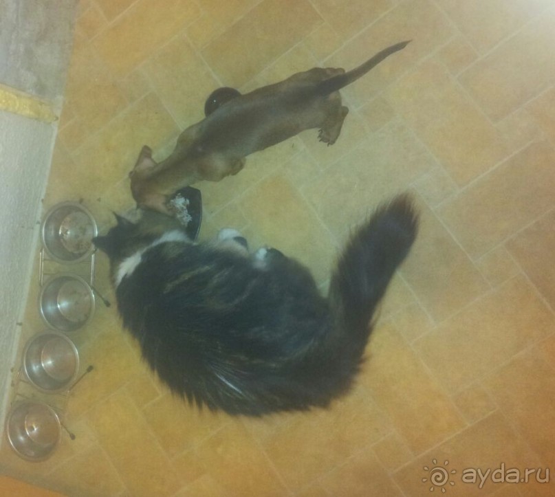 Альбом отзыва "Очередной переезд из Москвы в Хургаду"