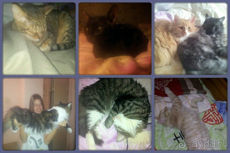 Очередной переезд из Москвы в Хургаду