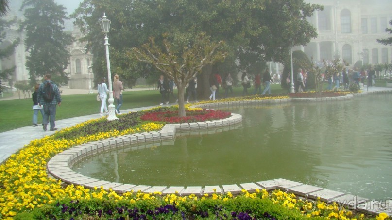 сад  дворца  Долмабахче