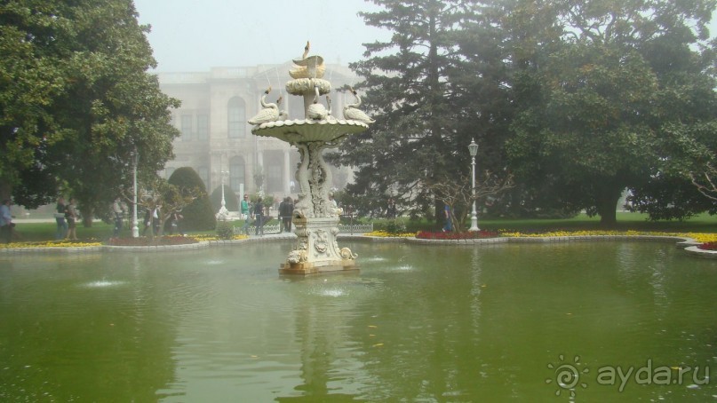 сад  дворца  Долмабахче