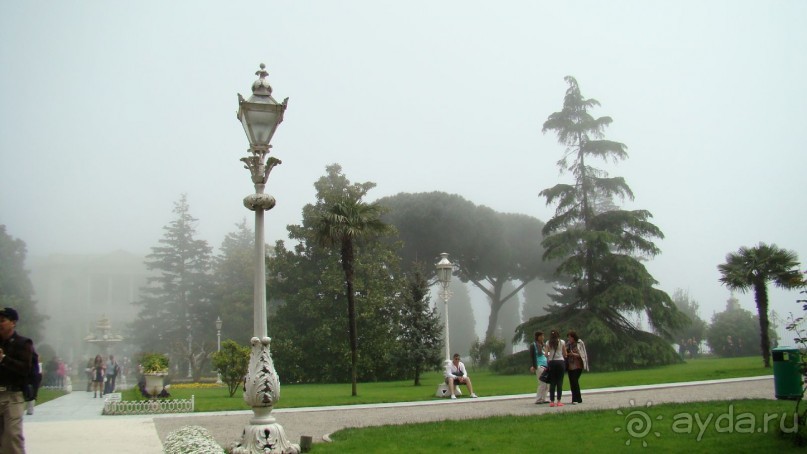 сад  дворца  Долмабахче