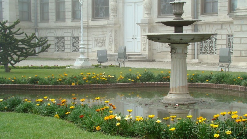 сад  дворца  Долмабахче