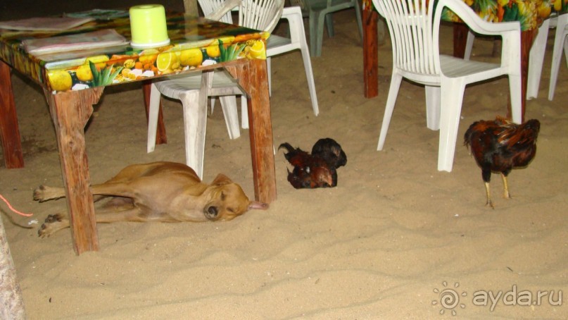 фото Pacific Resort Rarotonga