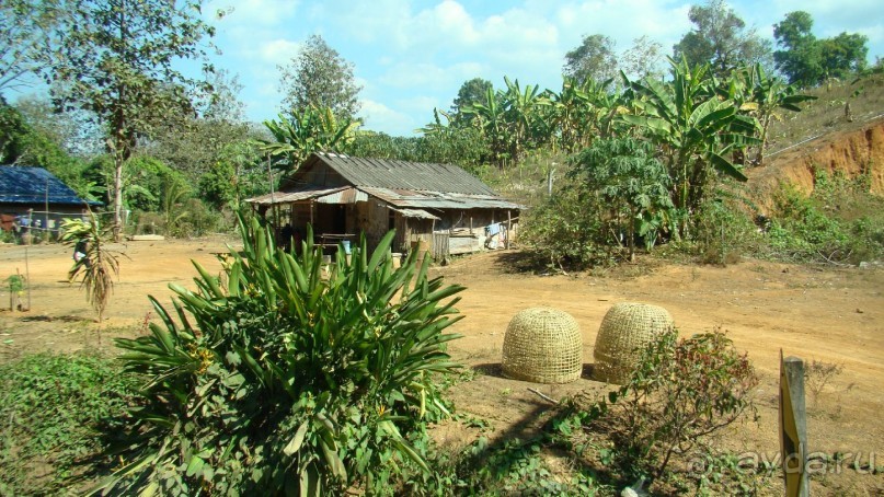 фото Pacific Resort Rarotonga