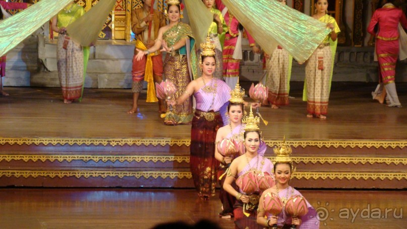 Прекрасный, восхитительный зеленый оазис на берегу Сиамского залива