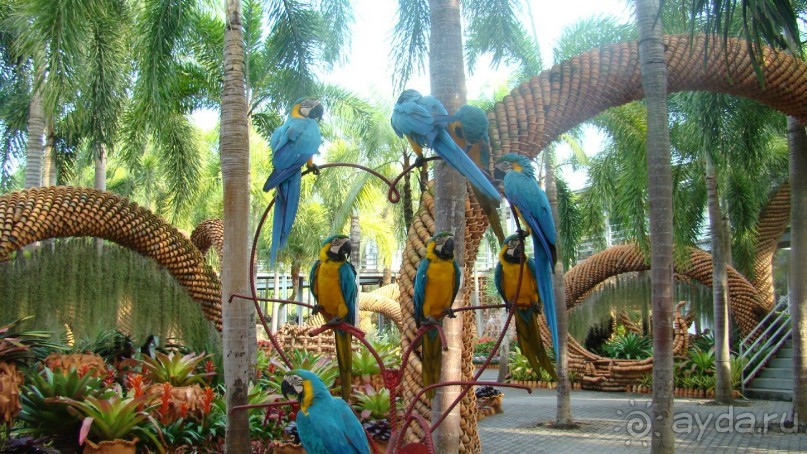 Прекрасный, восхитительный зеленый оазис на берегу Сиамского залива