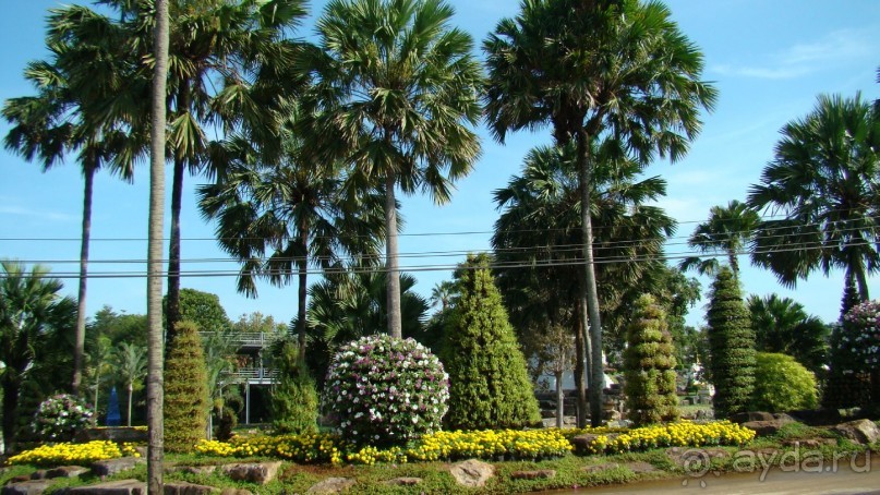Прекрасный, восхитительный зеленый оазис на берегу Сиамского залива