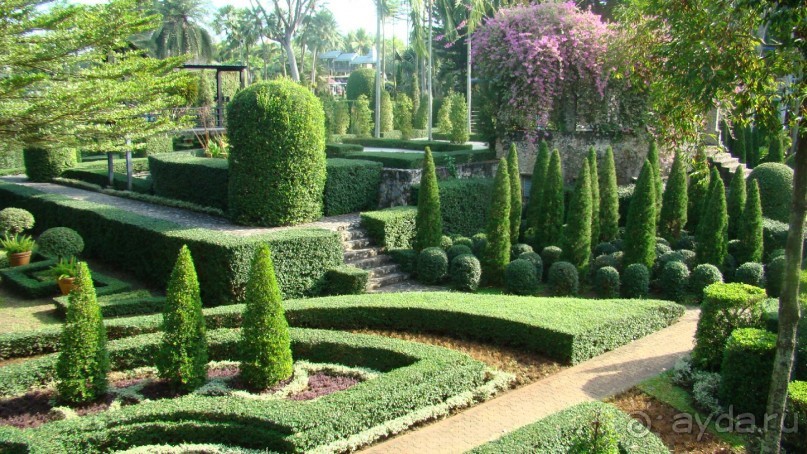 Прекрасный, восхитительный зеленый оазис на берегу Сиамского залива