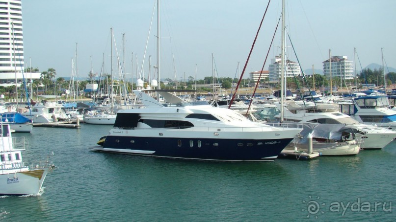 Прекрасный, восхитительный зеленый оазис на берегу Сиамского залива