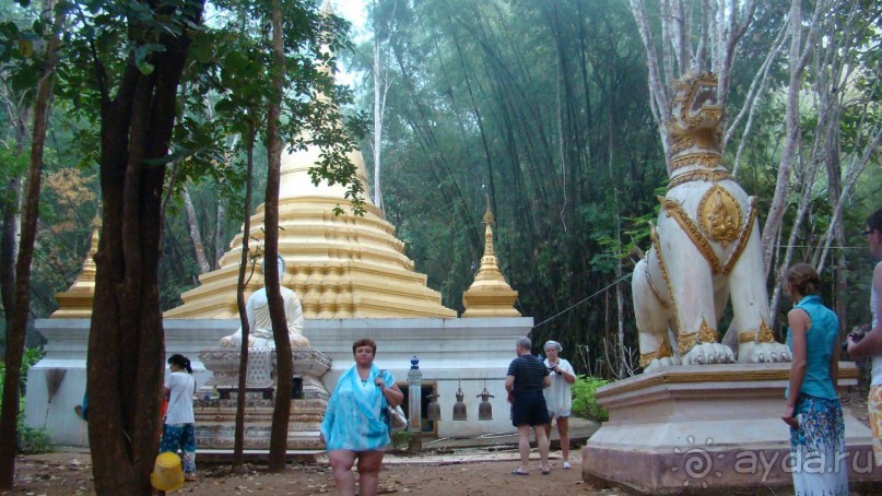 Прекрасный, восхитительный зеленый оазис на берегу Сиамского залива